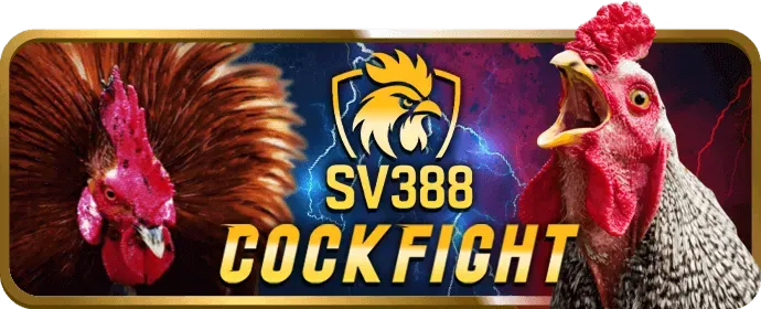 Chương Trình VIP Độc Quyền jun888 login